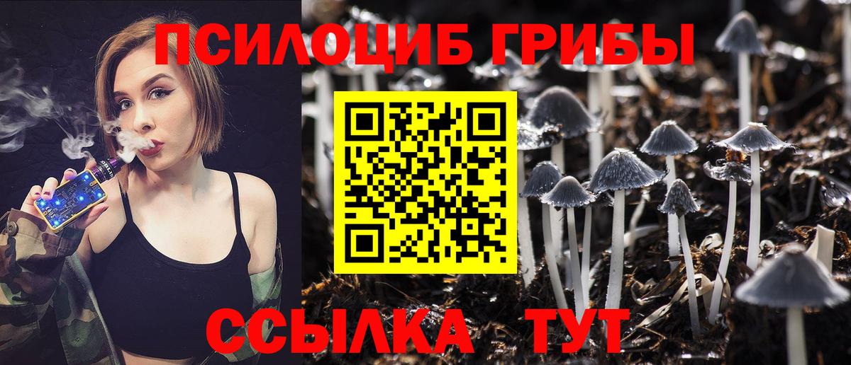 Псилоцибиновые грибы Magic Shrooms  Псилоцибиновые грибы MAGIC MUSHROOMS  Вход с VPN  Донской 
