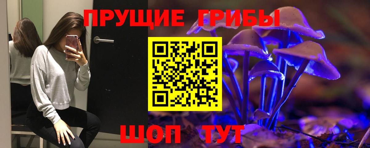Псилоцибиновые грибы Magic Shrooms Донской