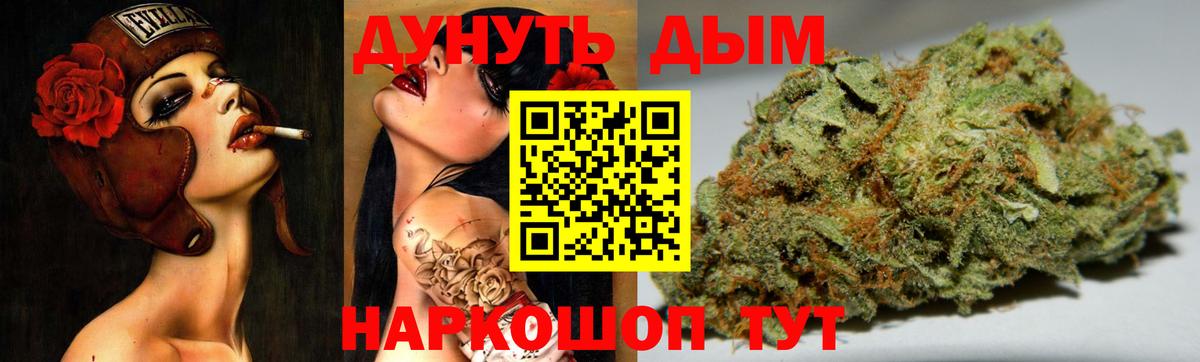 Каннабис OG Kush Донской
